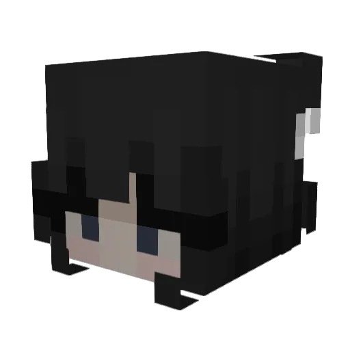 ephia Minecraft avatar head, 3D render