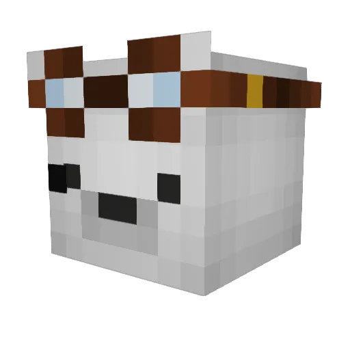 epic_cheese1337 Minecraft avatar head, 3D render
