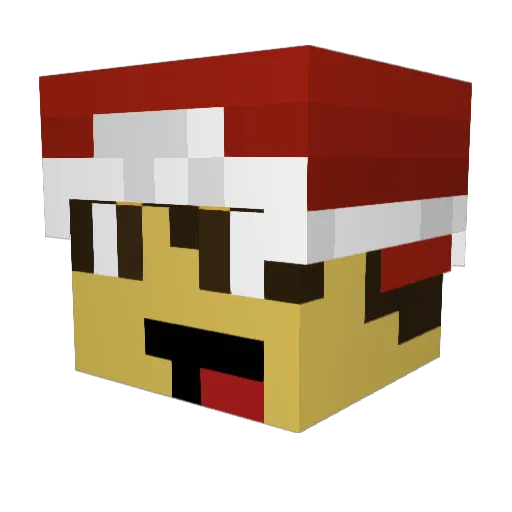 epic_miner831 Minecraft avatar head, 3D render