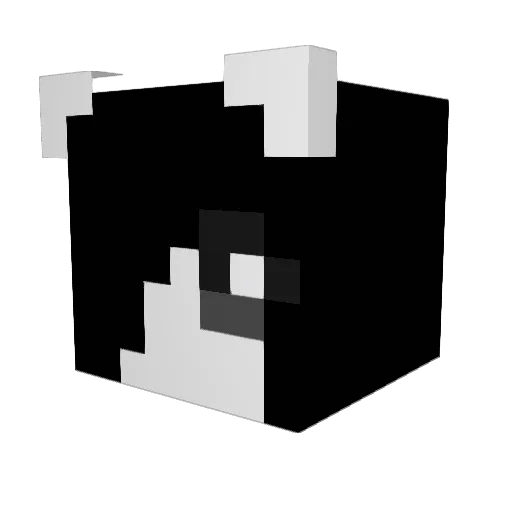 epic_suer Minecraft avatar head, 3D render