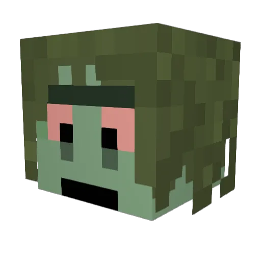 epic_tiger9090 Minecraft avatar head, 3D render