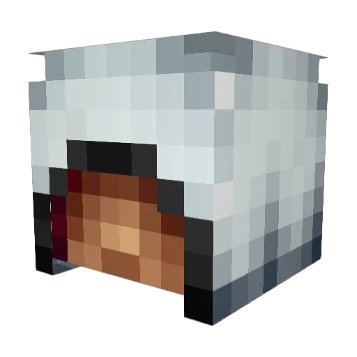 epic_winner99 Minecraft avatar head, 3D render