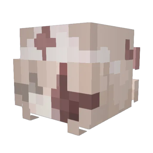 epicamara Minecraft avatar head, 3D render