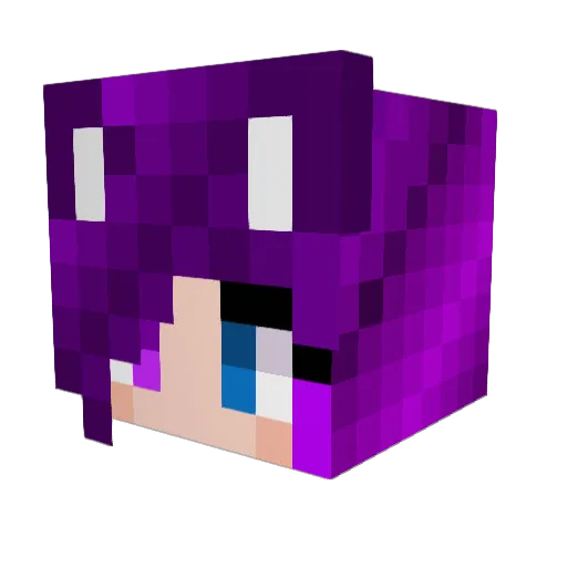 epicapl Minecraft avatar head, 3D render