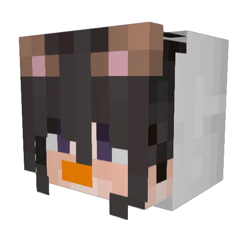 epicashley12 Minecraft avatar head, 3D render