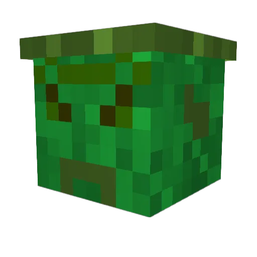 epicbunny1212 Minecraft avatar head, 3D render