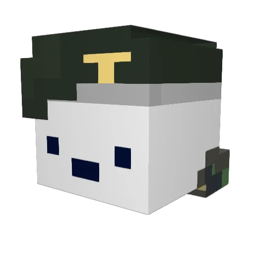 epicdude246 Minecraft avatar head, 3D render