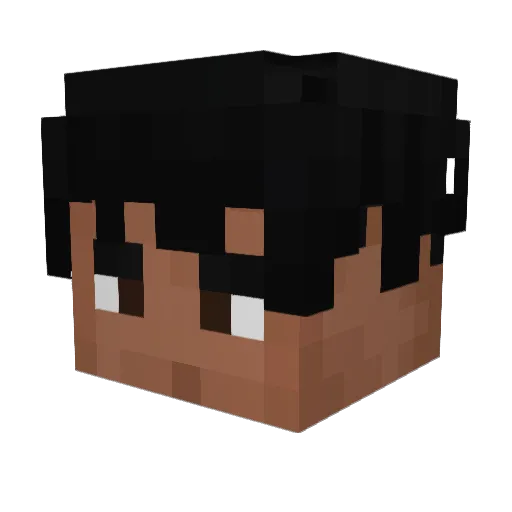epicfede00 Minecraft avatar head, 3D render