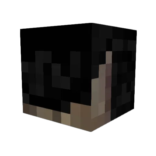 epicfloppa635 Minecraft avatar head, 3D render