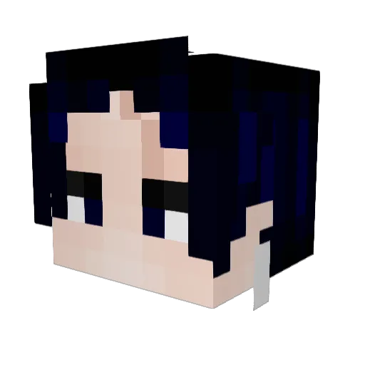 epicgamer4567 Minecraft avatar head, 3D render