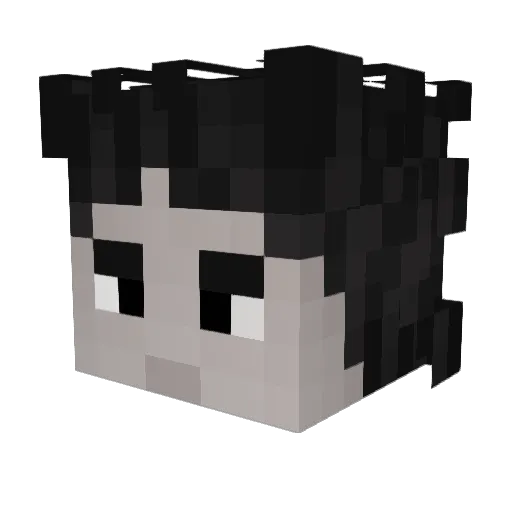 epicgamer_2 Minecraft avatar head, 3D render