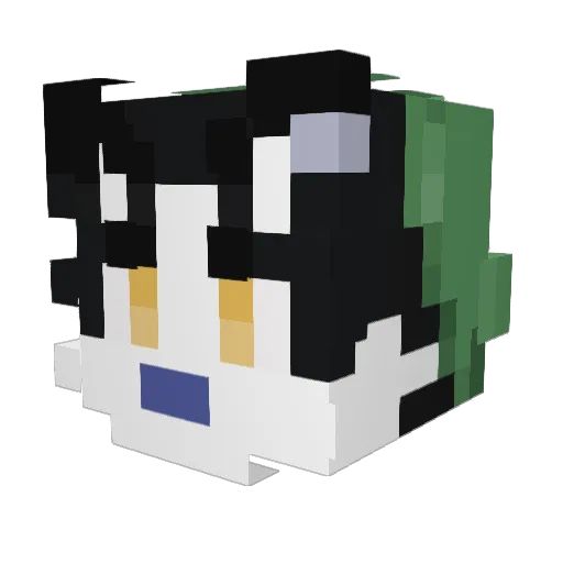 epicgamerman4560 Minecraft avatar head, 3D render