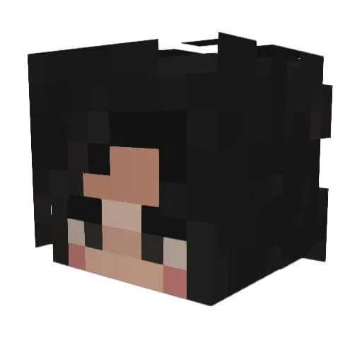 epicguy64 Minecraft avatar head, 3D render
