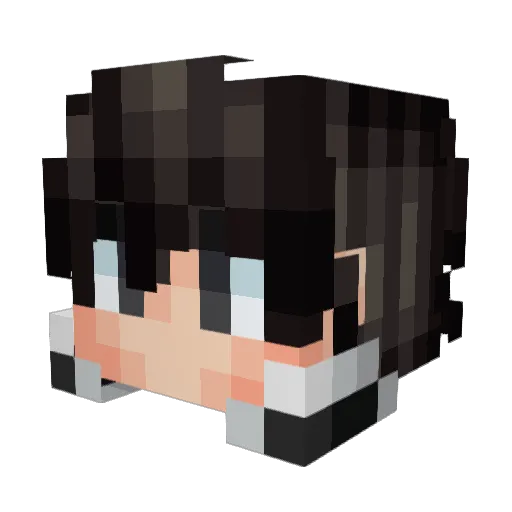 epicjuggalo Minecraft avatar head, 3D render