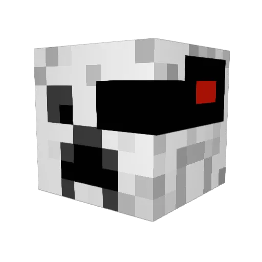 epickookie1 Minecraft avatar head, 3D render