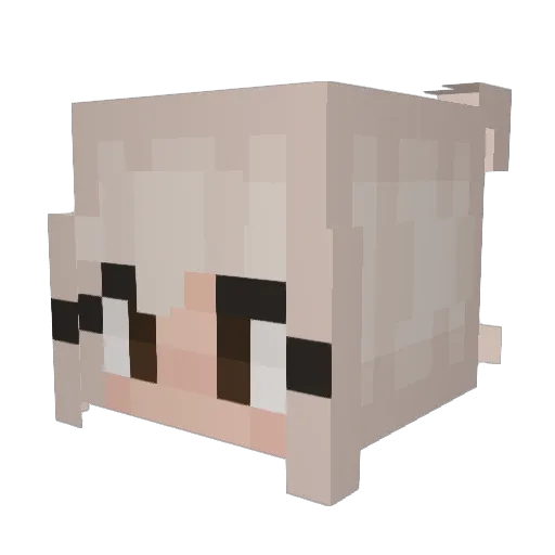 epiclii Minecraft avatar head, 3D render