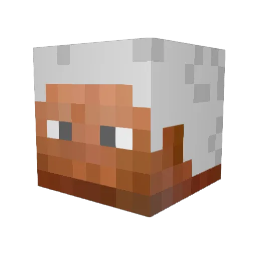 epiclord360 Minecraft avatar head, 3D render