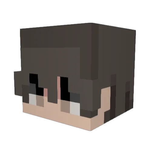 epicman65cool Minecraft avatar head, 3D render