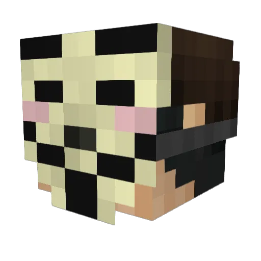 epicness2731 Minecraft avatar head, 3D render