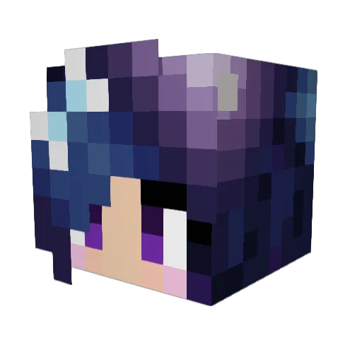 epicness447 Minecraft avatar head, 3D render
