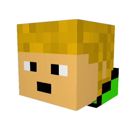 epicnesss1234 Minecraft avatar head, 3D render