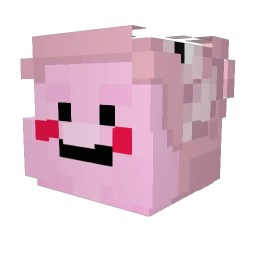 epico049 Minecraft avatar head, 3D render