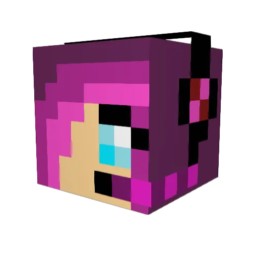 epicp123 Minecraft avatar head, 3D render