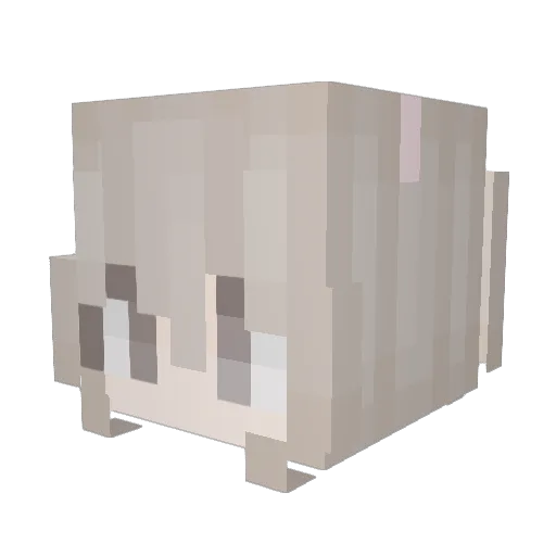 epicpanda33 Minecraft avatar head, 3D render
