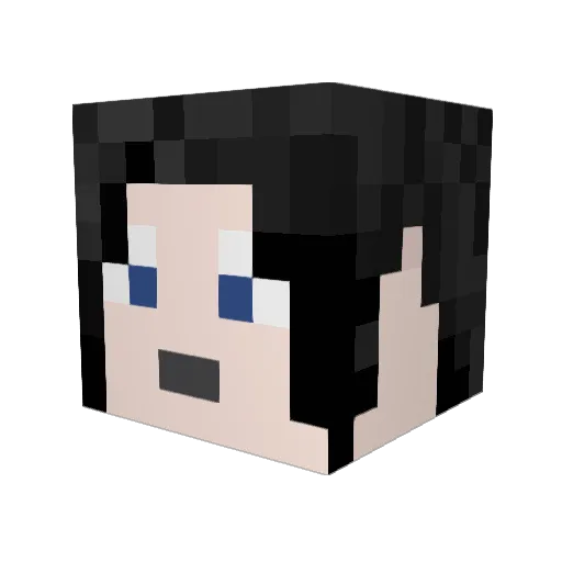 epicperson24 Minecraft avatar head, 3D render