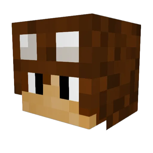 epicplaneflyer Minecraft avatar head, 3D render