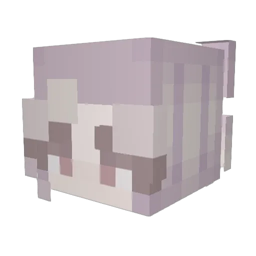 epicplayer108 Minecraft avatar head, 3D render
