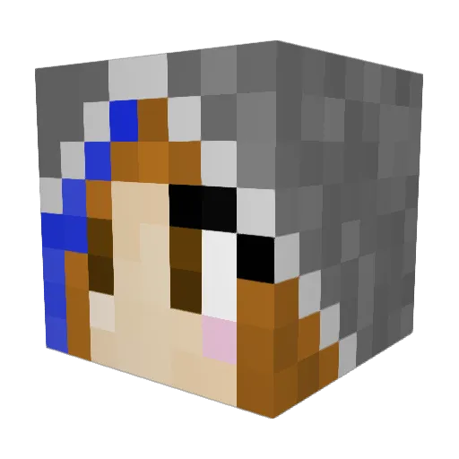 epicpogisasimp Minecraft avatar head, 3D render
