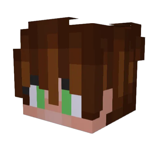 epicshadow2211 Minecraft avatar head, 3D render