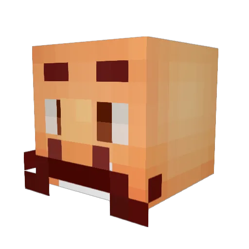 epicskip Minecraft avatar head, 3D render