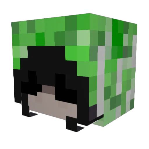 epicslayergirl6 Minecraft avatar head, 3D render