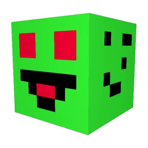 epicwiner Minecraft avatar head, 3D render