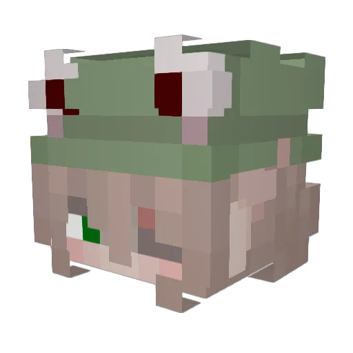epicworld6 Minecraft avatar head, 3D render