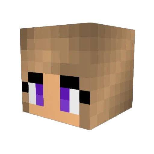 epicyowl Minecraft avatar head, 3D render