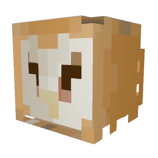 epididymeister Minecraft avatar head, 3D render