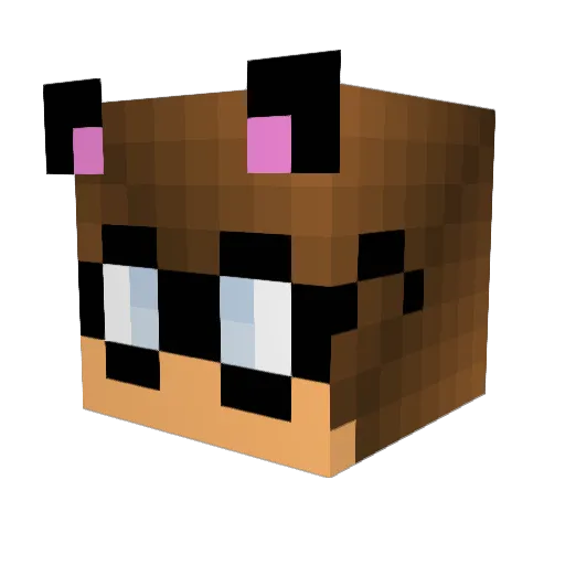 epikMcGamer Minecraft avatar head, 3D render