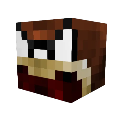 epiksmash321 Minecraft avatar head, 3D render