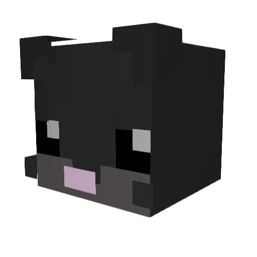 epilefff Minecraft avatar head, 3D render