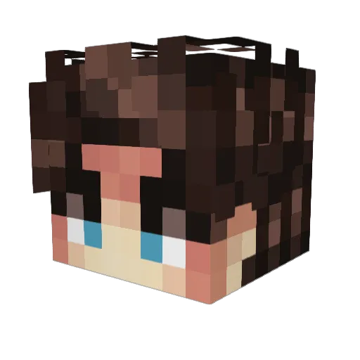 epileptic9 Minecraft avatar head, 3D render