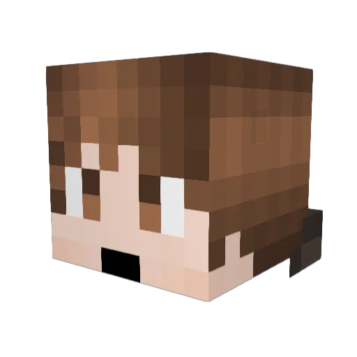 epitalioc Minecraft avatar head, 3D render