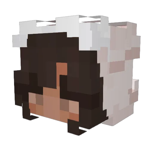 epizpvp Minecraft avatar head, 3D render