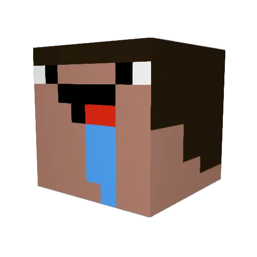 eplekiwifrus Minecraft avatar head, 3D render