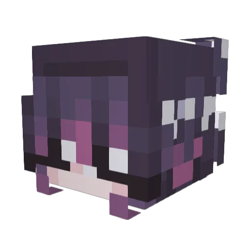 epopa Minecraft avatar head, 3D render