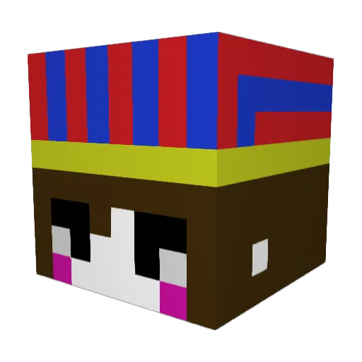 epsonfin Minecraft avatar head, 3D render