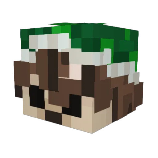 eqel Minecraft avatar head, 3D render