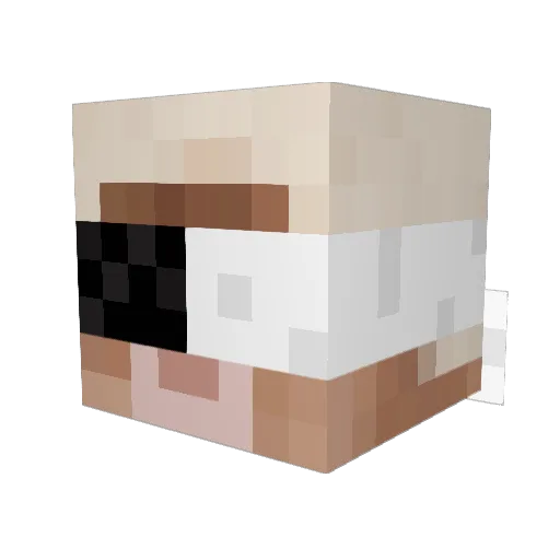 eqilibrium Minecraft avatar head, 3D render